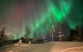 Tosbotn Camping & Cottages